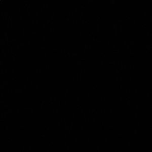 Meet your Posher, Jake